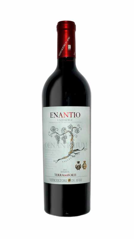 Viticoltori in Avio Enantio Riserva, Italienischer Rotwein
